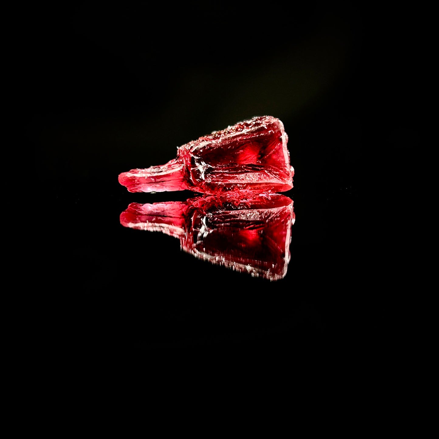 Exotic Kelly 25- In Rose Sheherazade on Porosus Crocodile